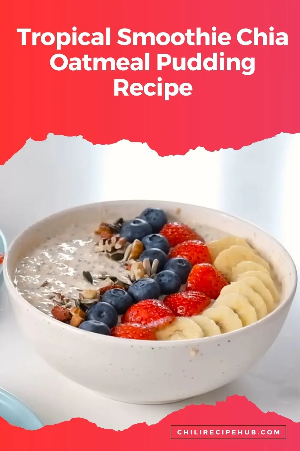 Tropical Smoothie Chia Oatmeal Pudding Recipe