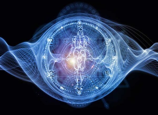 The Blueprint of Metamorphosis: Unraveling the Mystery of the Imaginal Disk