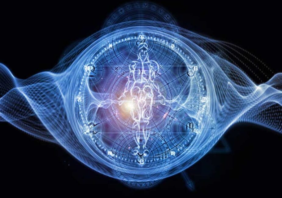 The Blueprint of Metamorphosis: Unraveling the Mystery of the Imaginal Disk