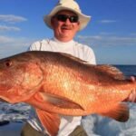 The Majestic Red Grouper: A Deep Dive into the Gulf's Prized Catch